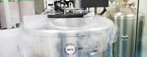 embryo-freezing-cryo-storage-equipment