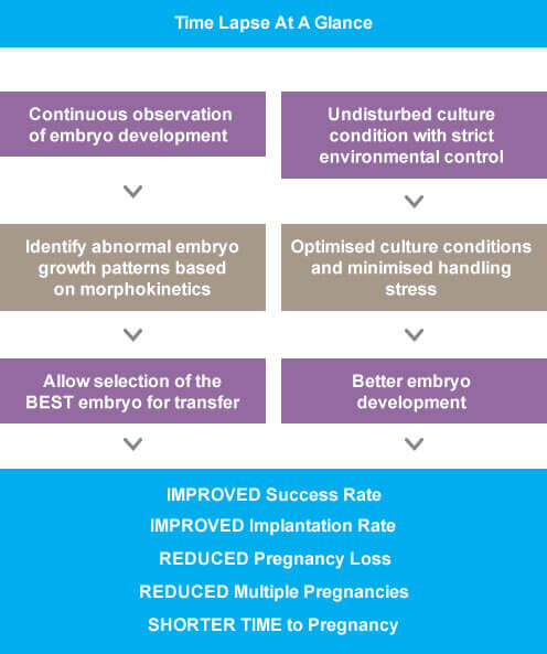 timelapse-embryo-summary-table