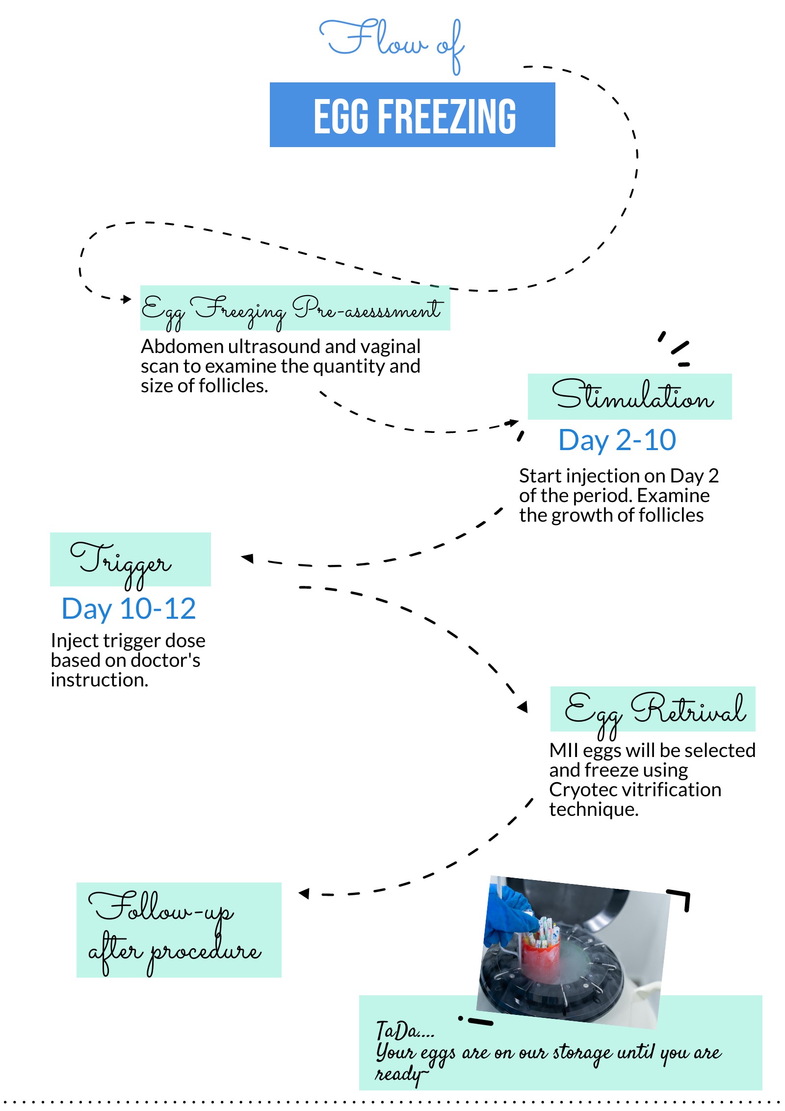 flow of egg freezing