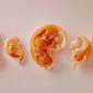 How Embryos Develop After Fertilisation: 6 Essential Stages You Need to Know - Alpha IVF